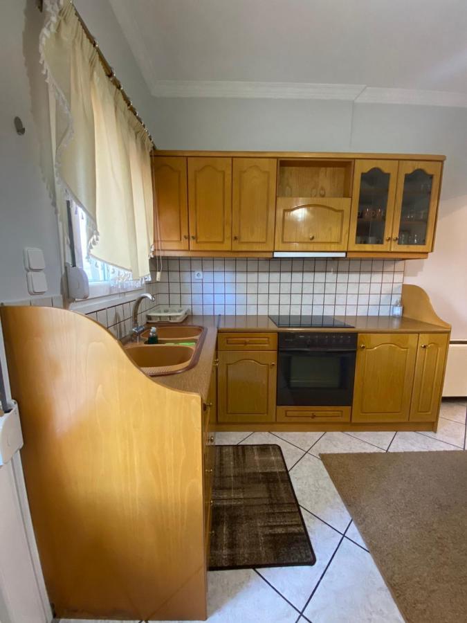 Sitara'S House Apartment Karpenisi ภายนอก รูปภาพ